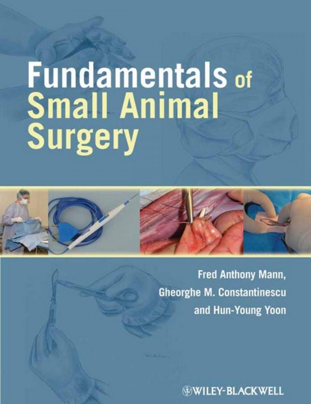 Big bigCover of Fundamentals of Small Animal Surgery