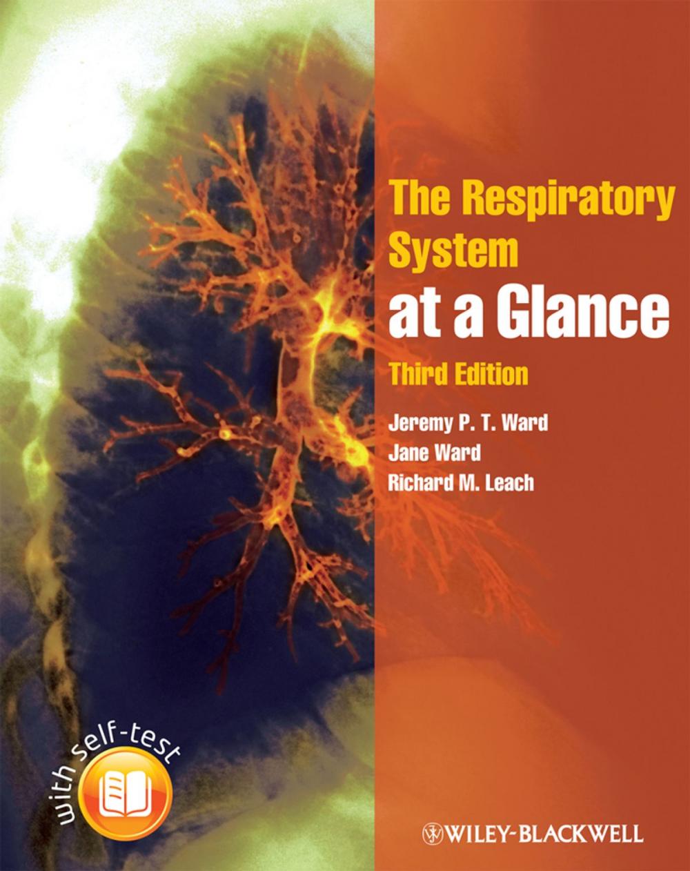 Big bigCover of The Respiratory System at a Glance