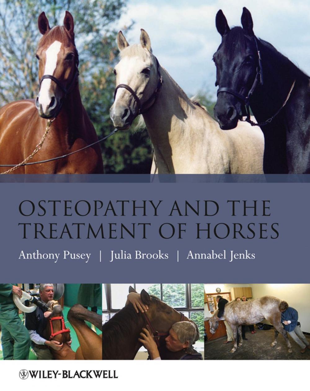 Big bigCover of Osteopathy and the Treatment of Horses