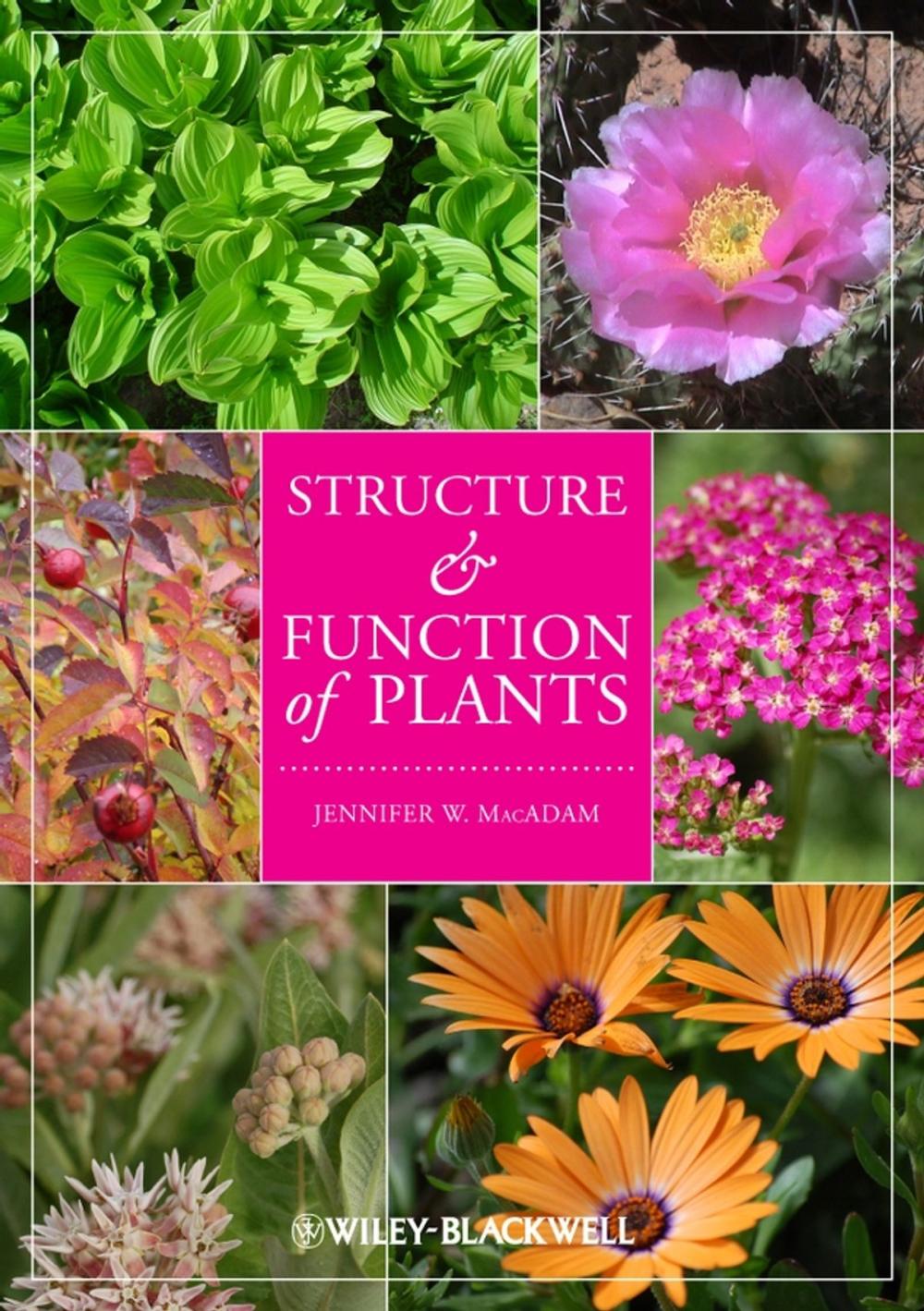 Big bigCover of Structure and Function of Plants