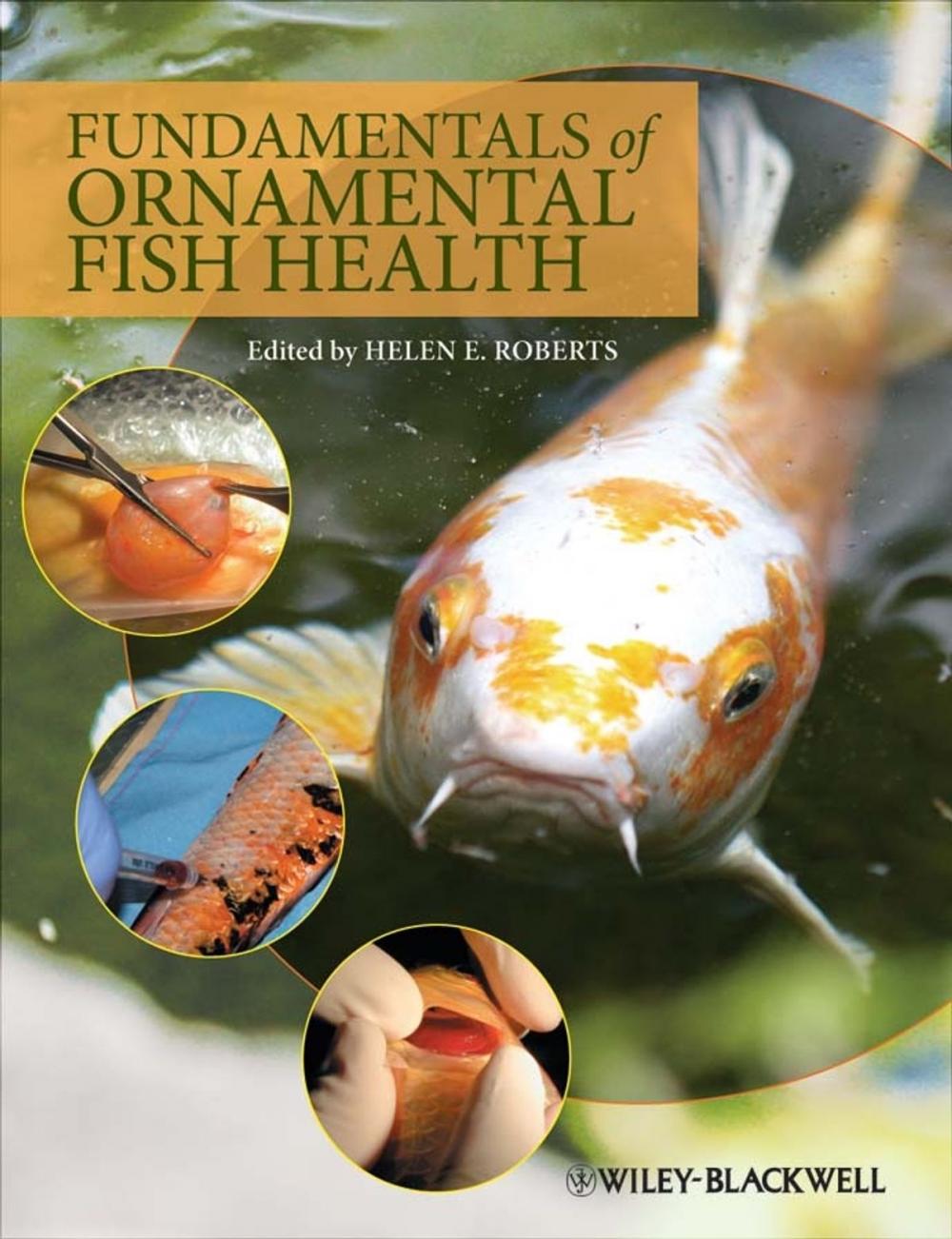 Big bigCover of Fundamentals of Ornamental Fish Health