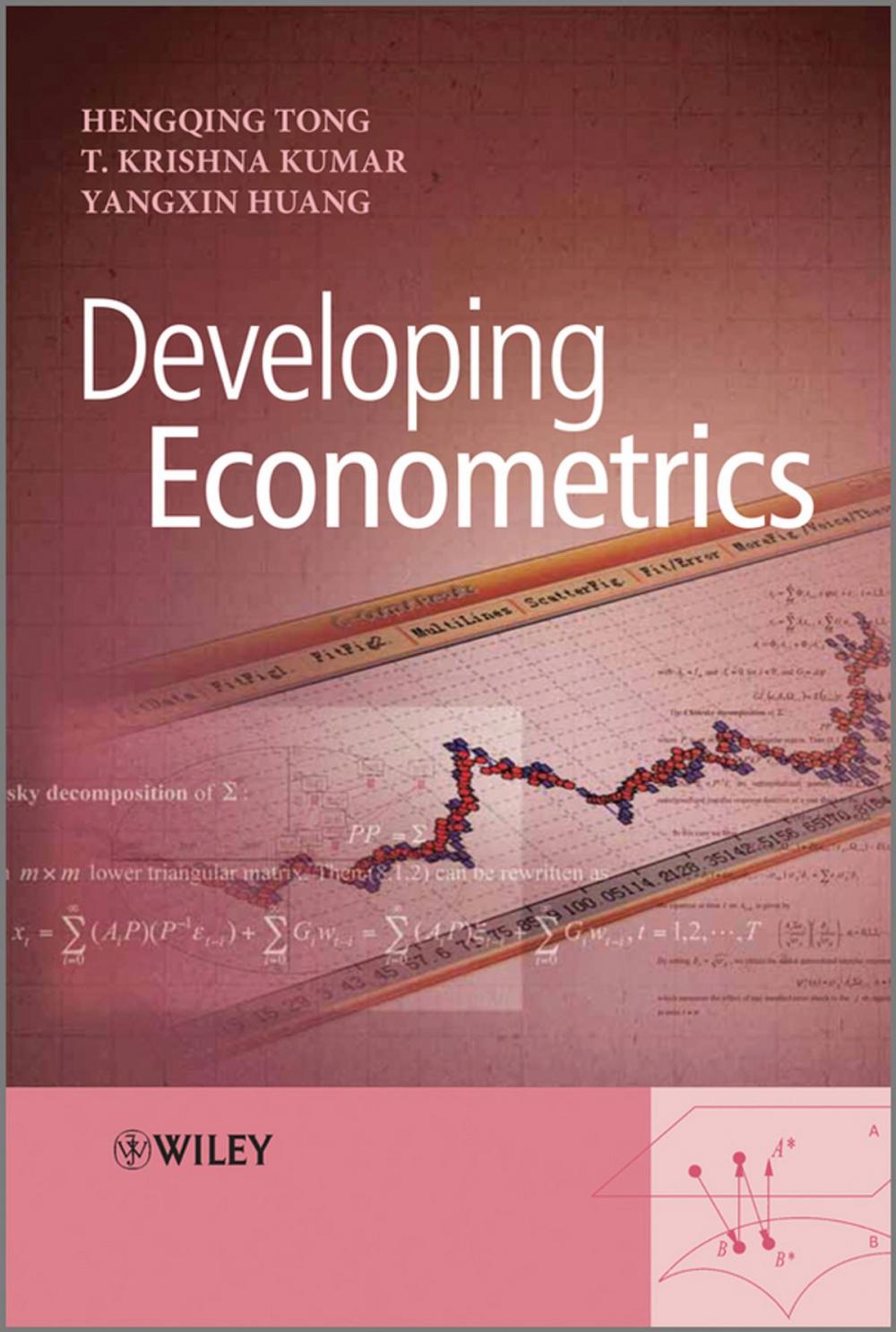 Big bigCover of Developing Econometrics