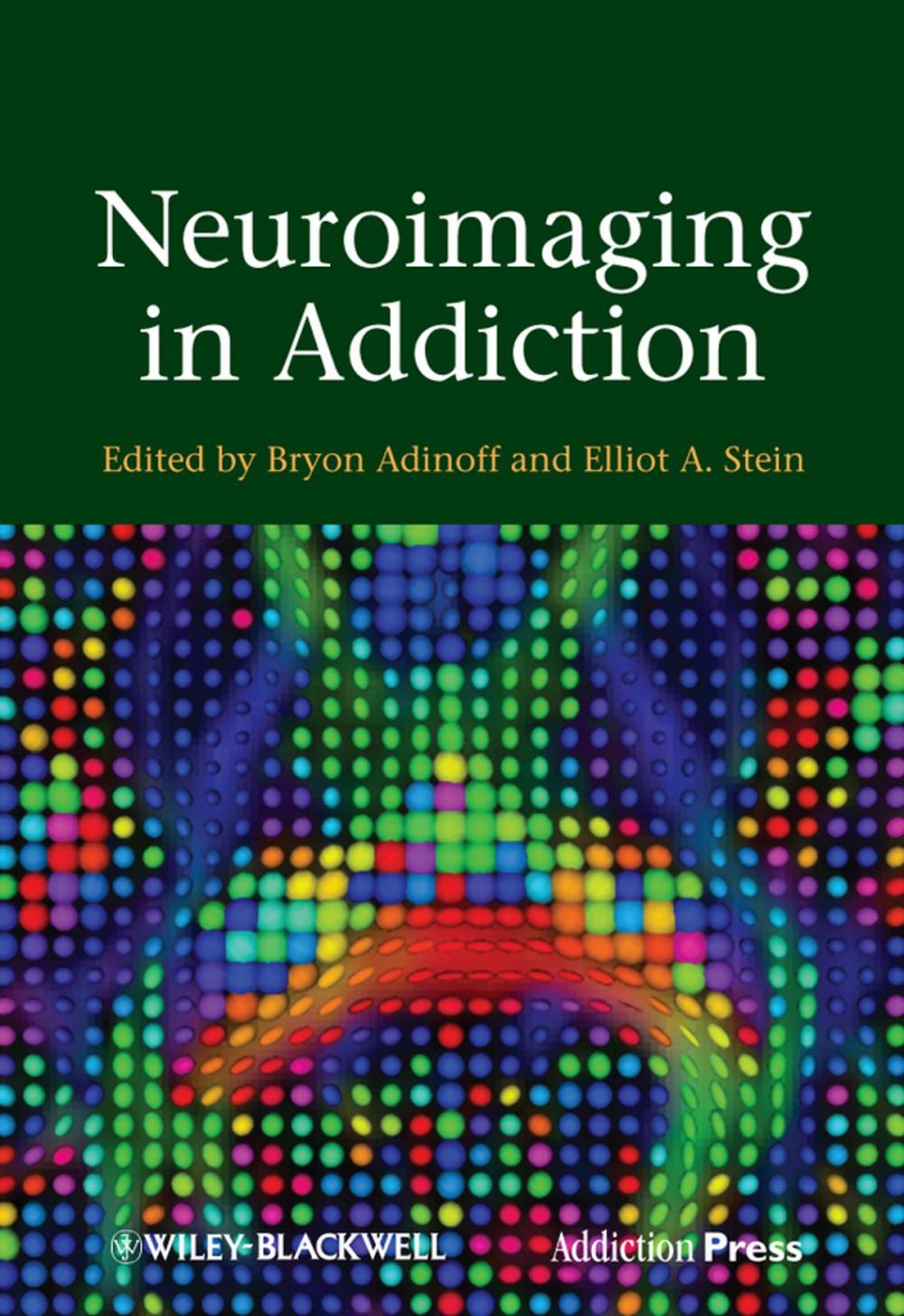 Big bigCover of Neuroimaging in Addiction