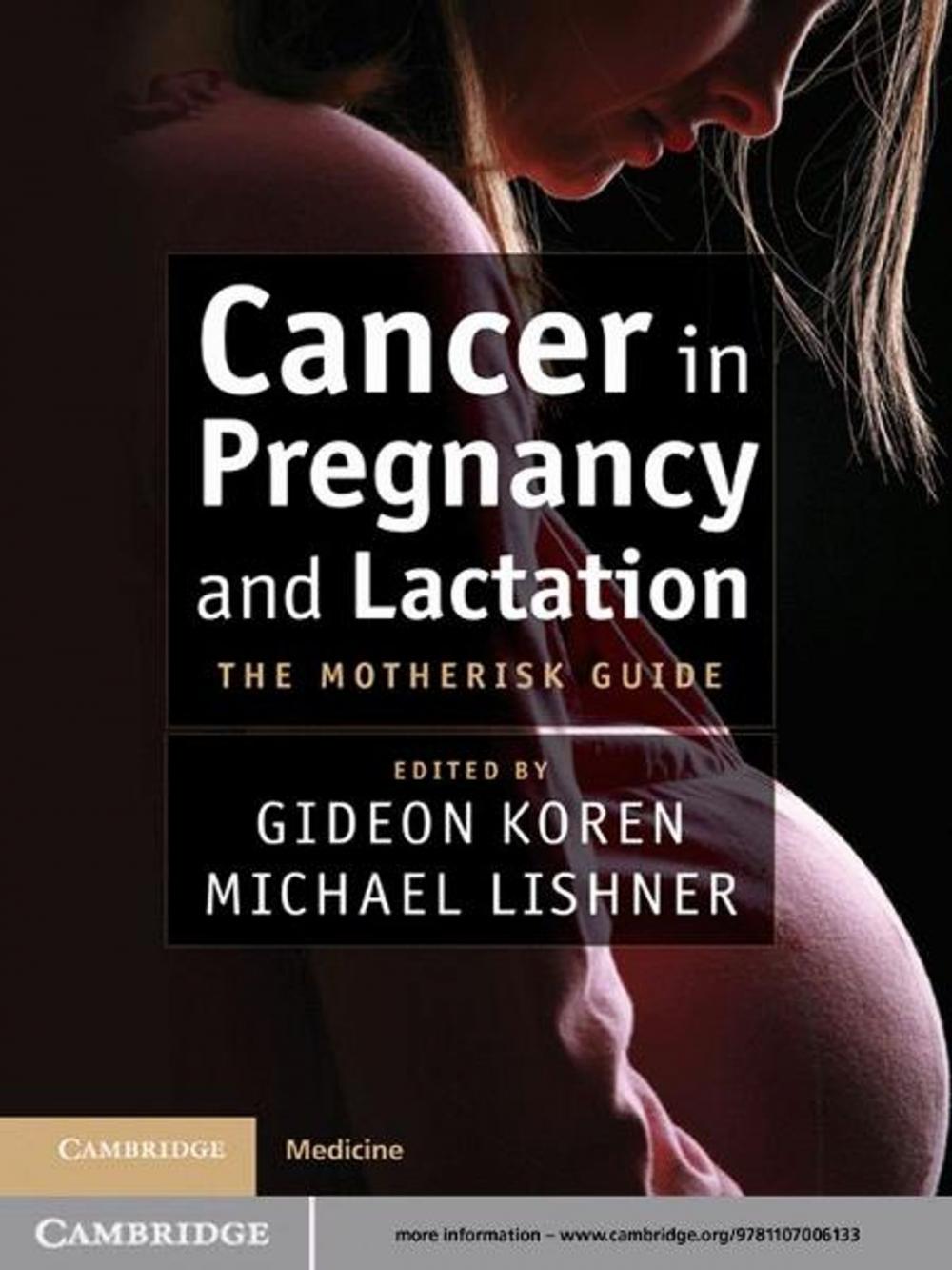 Big bigCover of Cancer in Pregnancy and Lactation