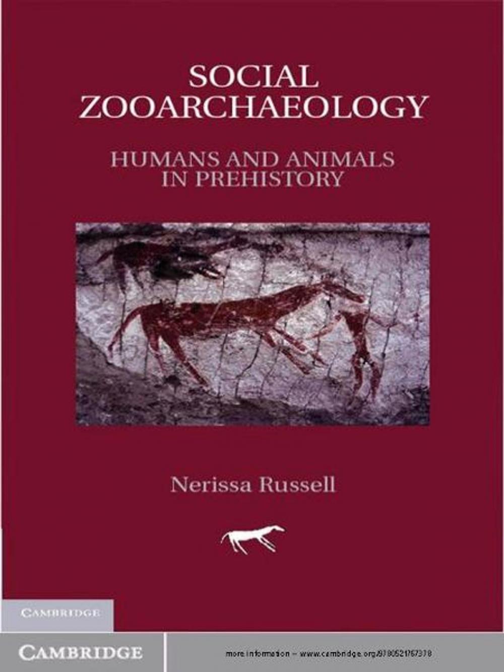 Big bigCover of Social Zooarchaeology