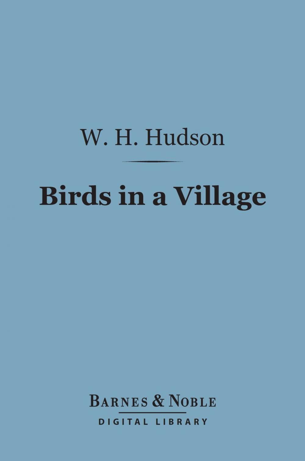 Big bigCover of Birds in a Village (Barnes & Noble Digital Library)