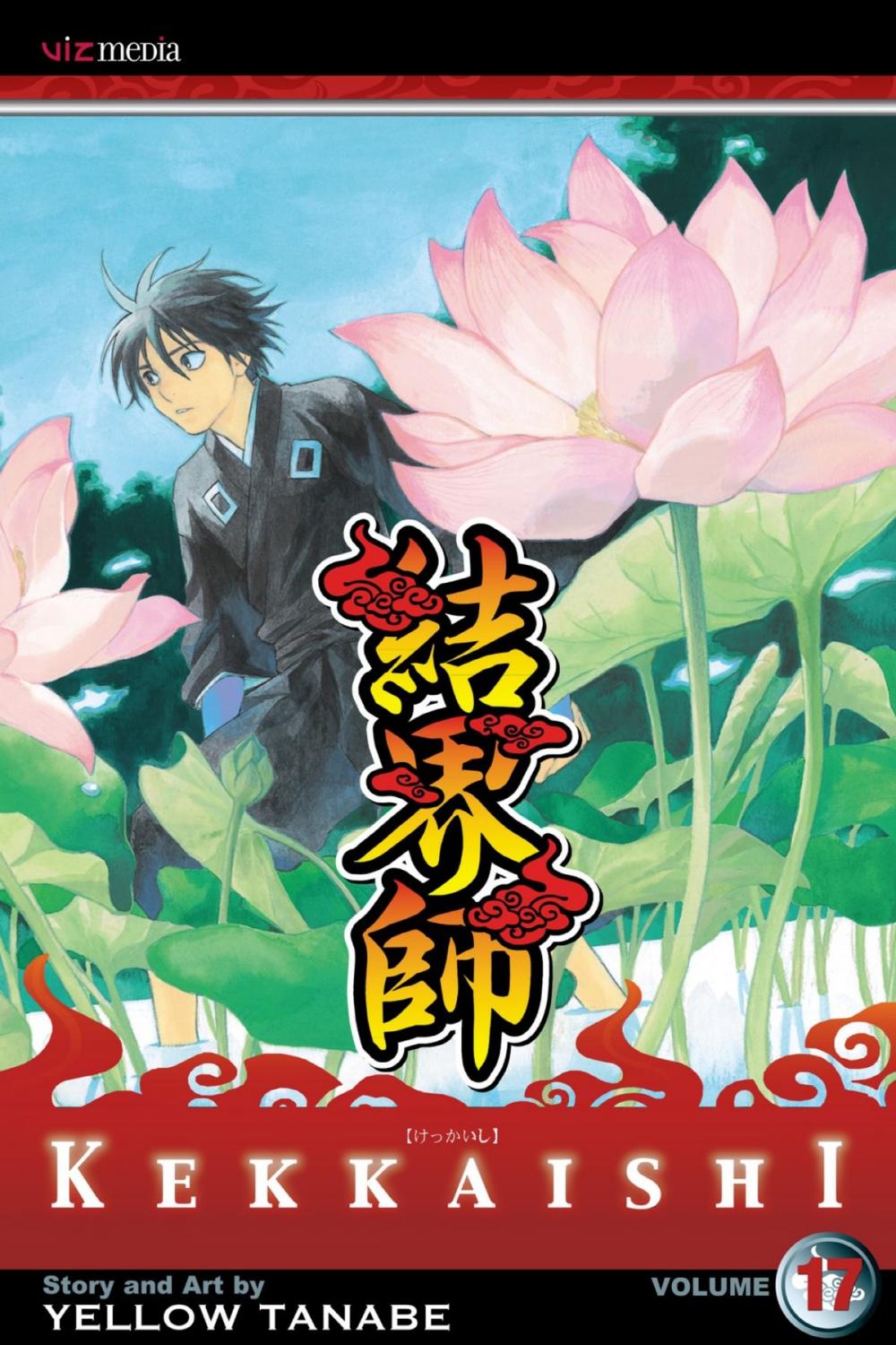 Big bigCover of Kekkaishi, Vol. 17