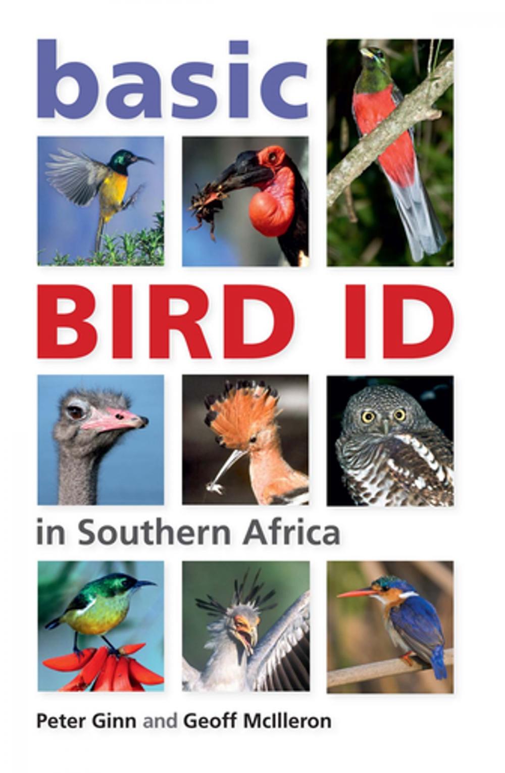 Big bigCover of Basic Bird ID in Southern Africa