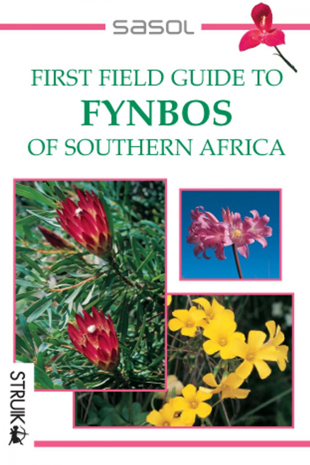 Big bigCover of First Field Guide to Fynbos of Southern Africa