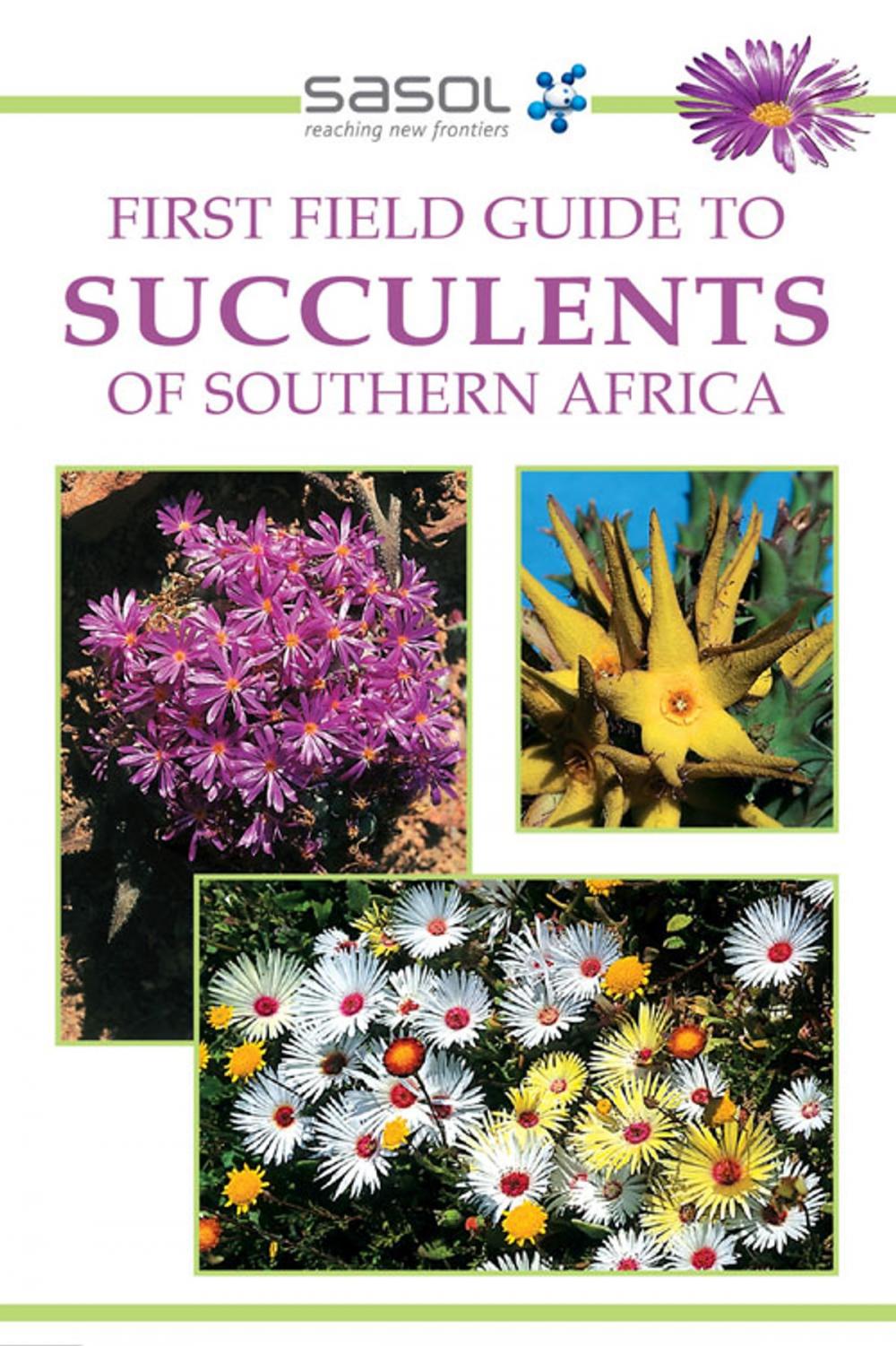 Big bigCover of First Field Guide to Succulents of Southern Africa