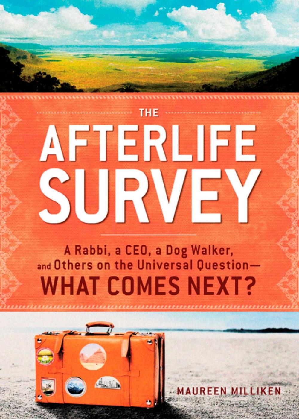 Big bigCover of The Afterlife Survey