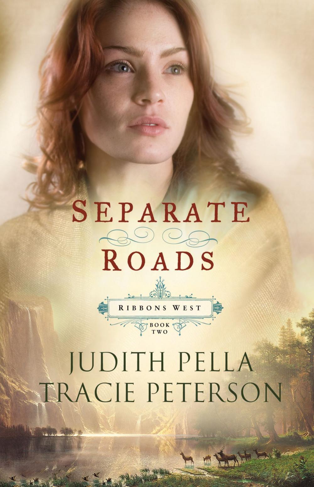 Big bigCover of Separate Roads (Ribbons West Book #2)