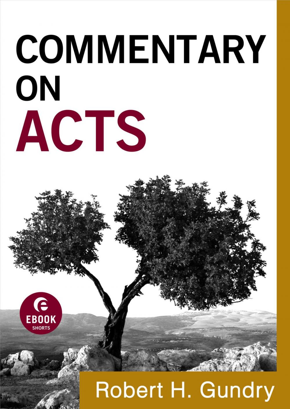 Big bigCover of Commentary on Acts (Commentary on the New Testament Book #5)