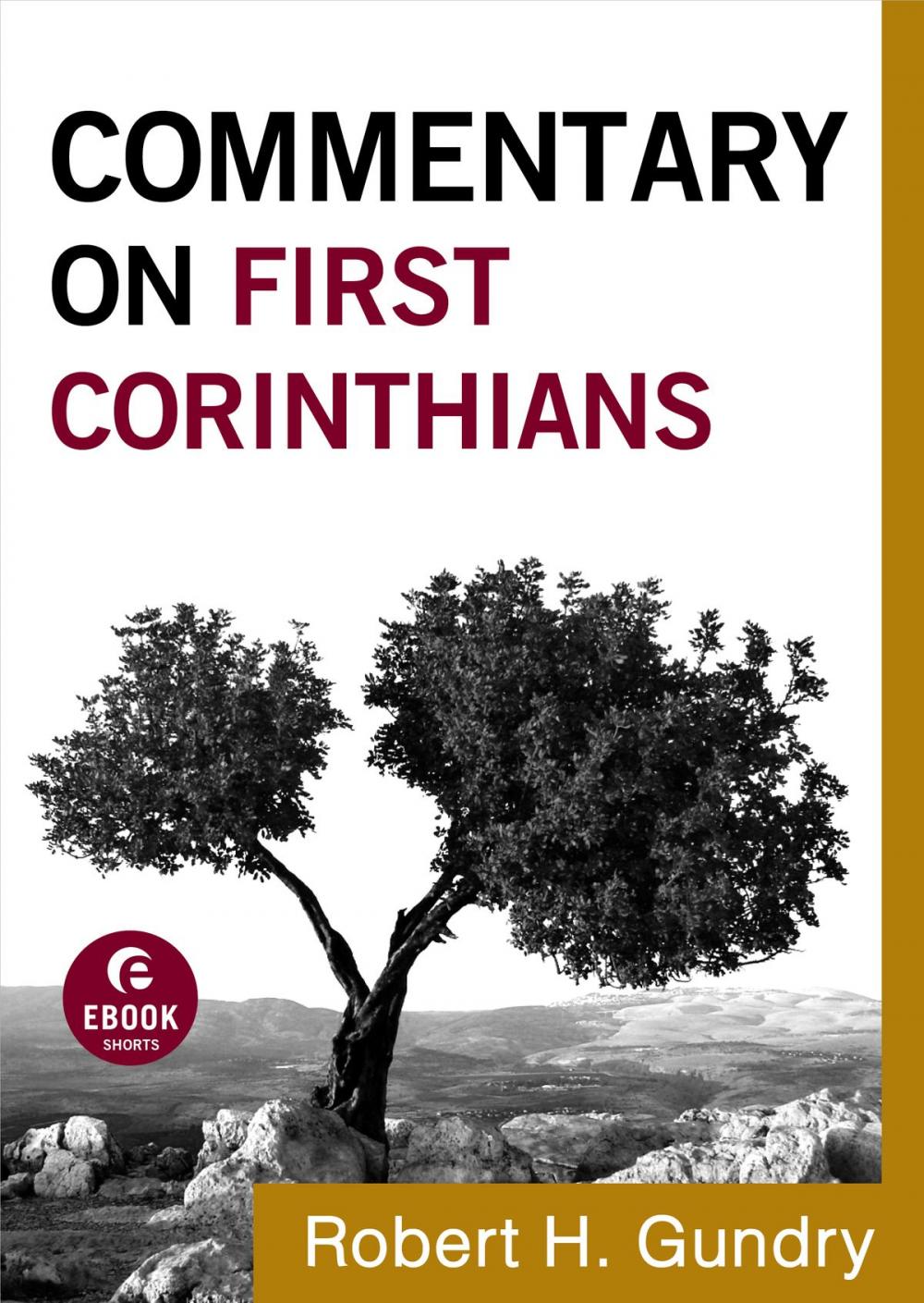 Big bigCover of Commentary on First Corinthians (Commentary on the New Testament Book #7)