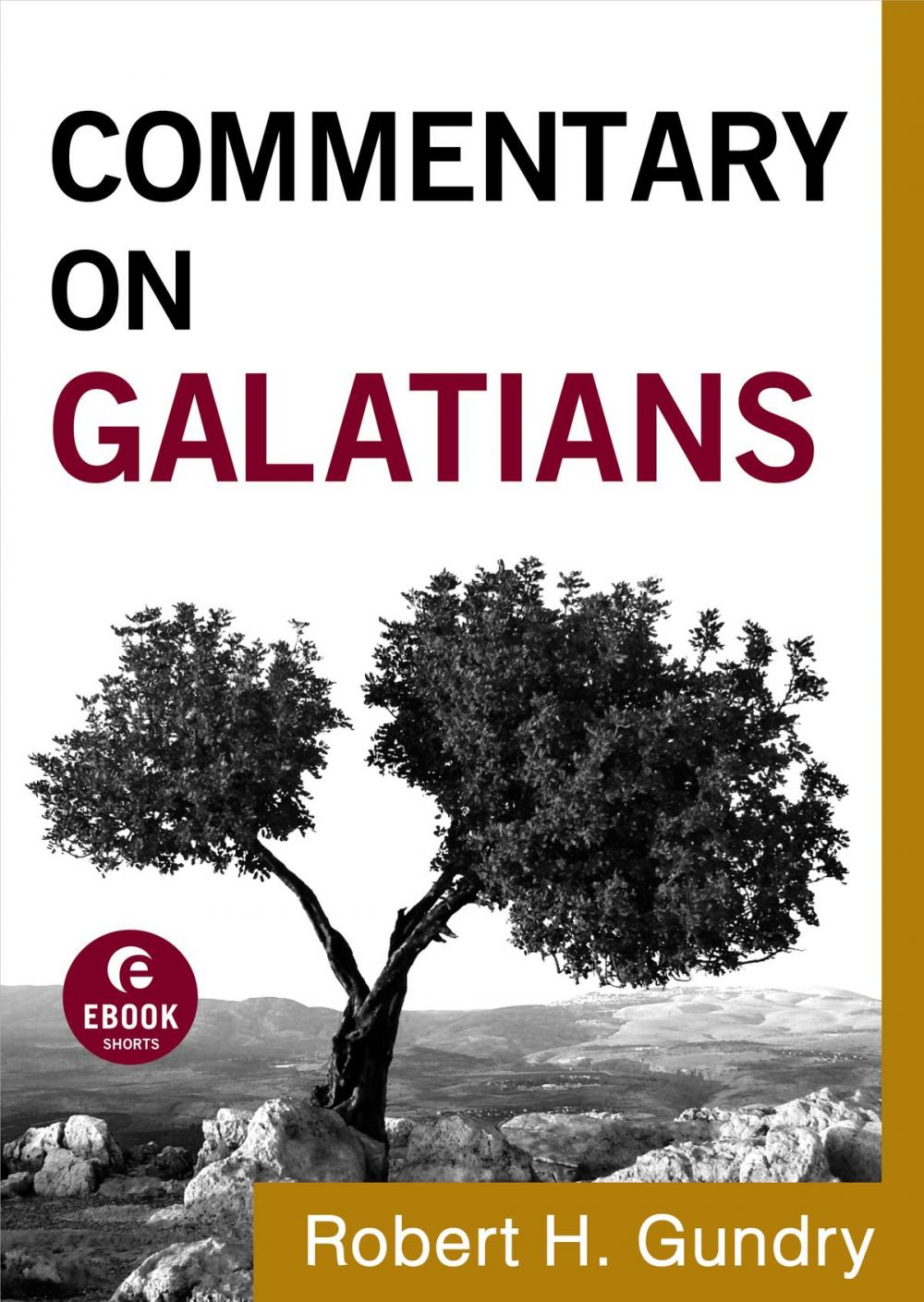 Big bigCover of Commentary on Galatians (Commentary on the New Testament Book #9)