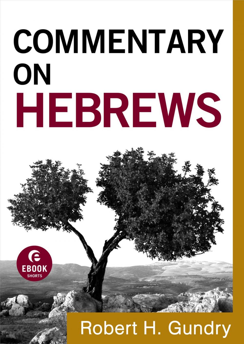 Big bigCover of Commentary on Hebrews (Commentary on the New Testament Book #15)