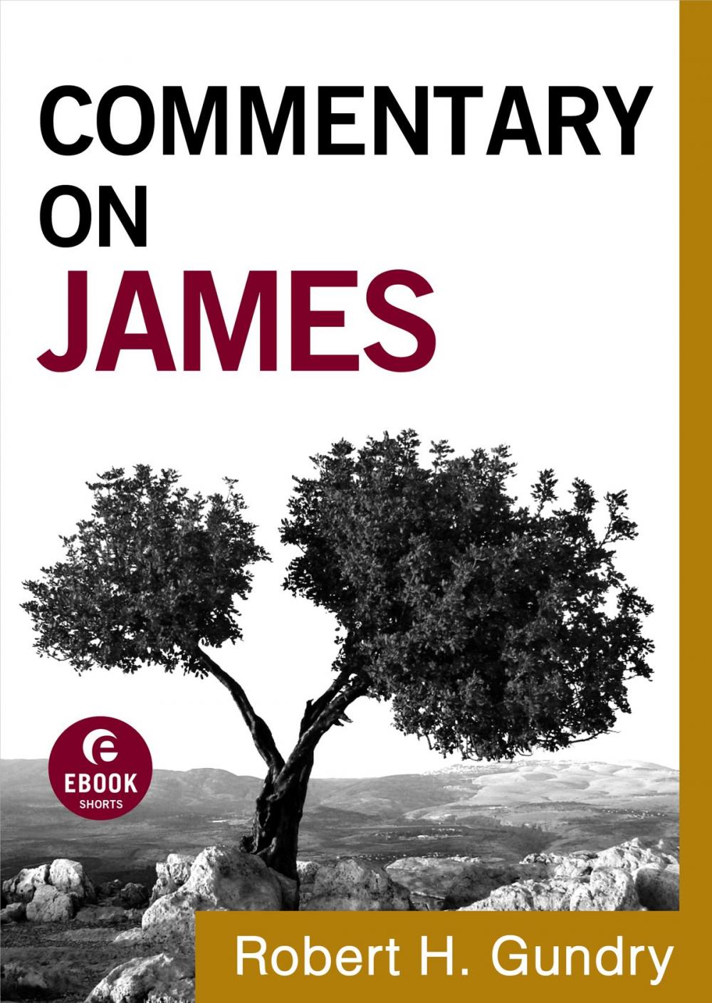 Big bigCover of Commentary on James (Commentary on the New Testament Book #16)