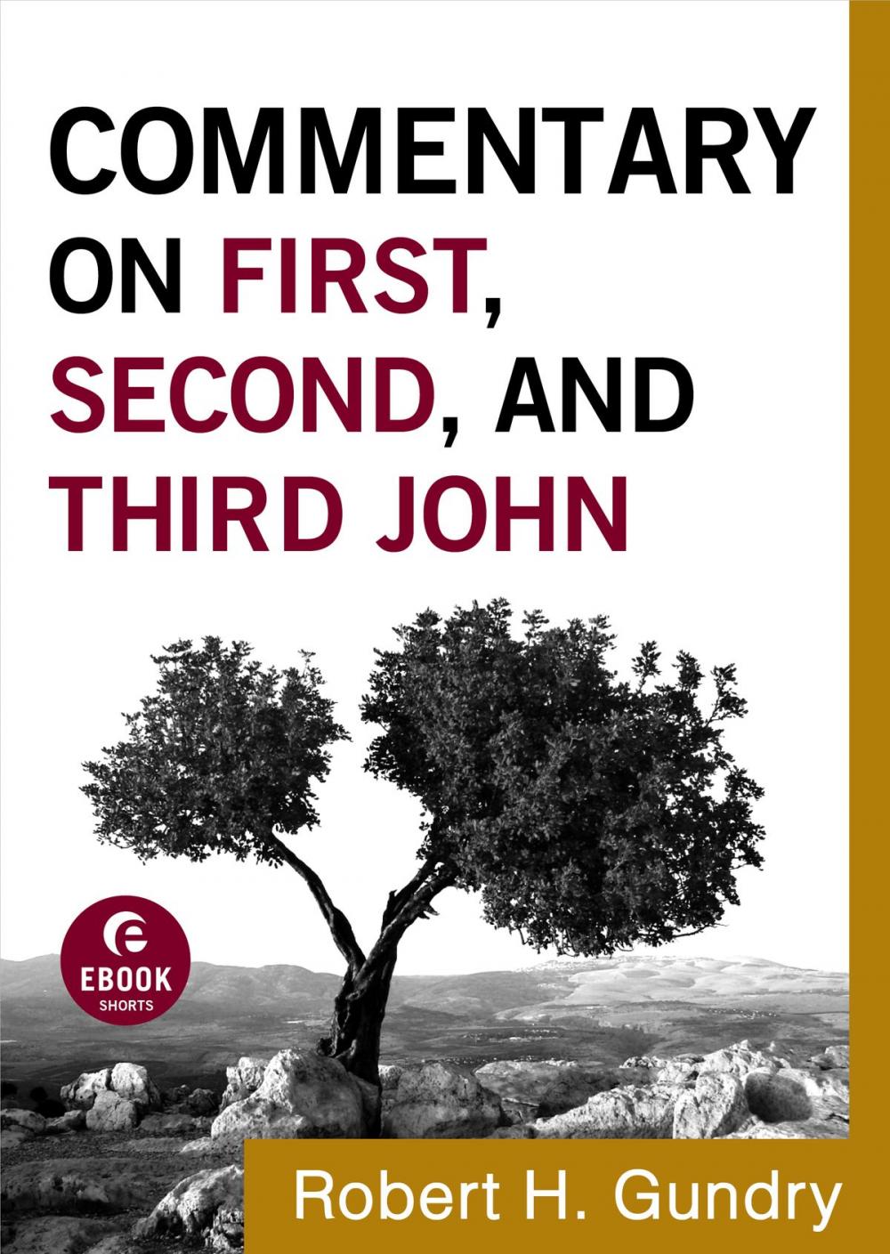 Big bigCover of Commentary on First, Second, and Third John (Commentary on the New Testament Book #18)