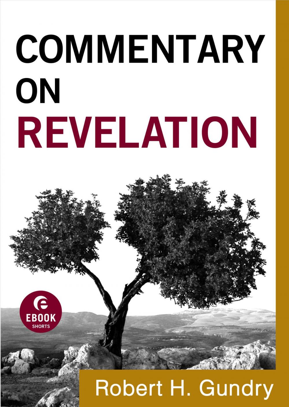 Big bigCover of Commentary on Revelation (Commentary on the New Testament Book #19)