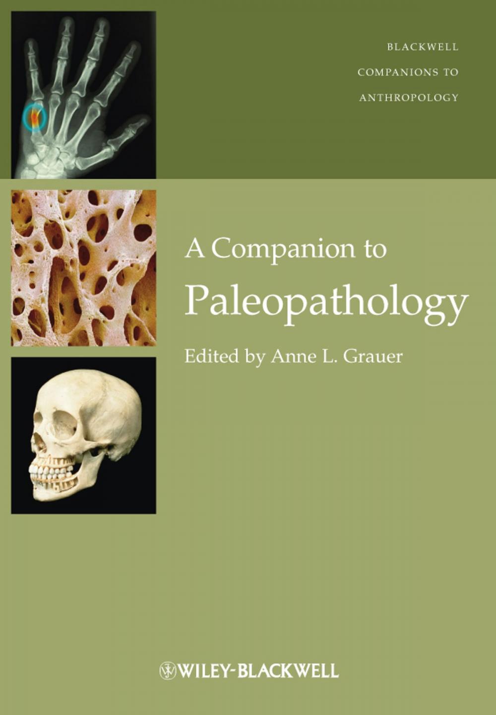 Big bigCover of A Companion to Paleopathology