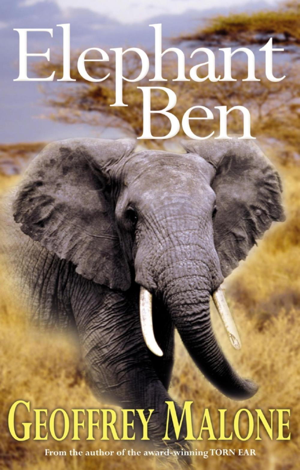 Big bigCover of Stories from the Wild 5: Elephant Ben