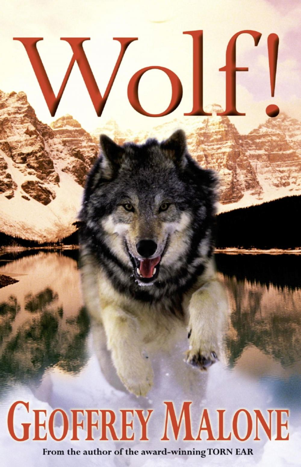 Big bigCover of Stories from the Wild 6: Wolf