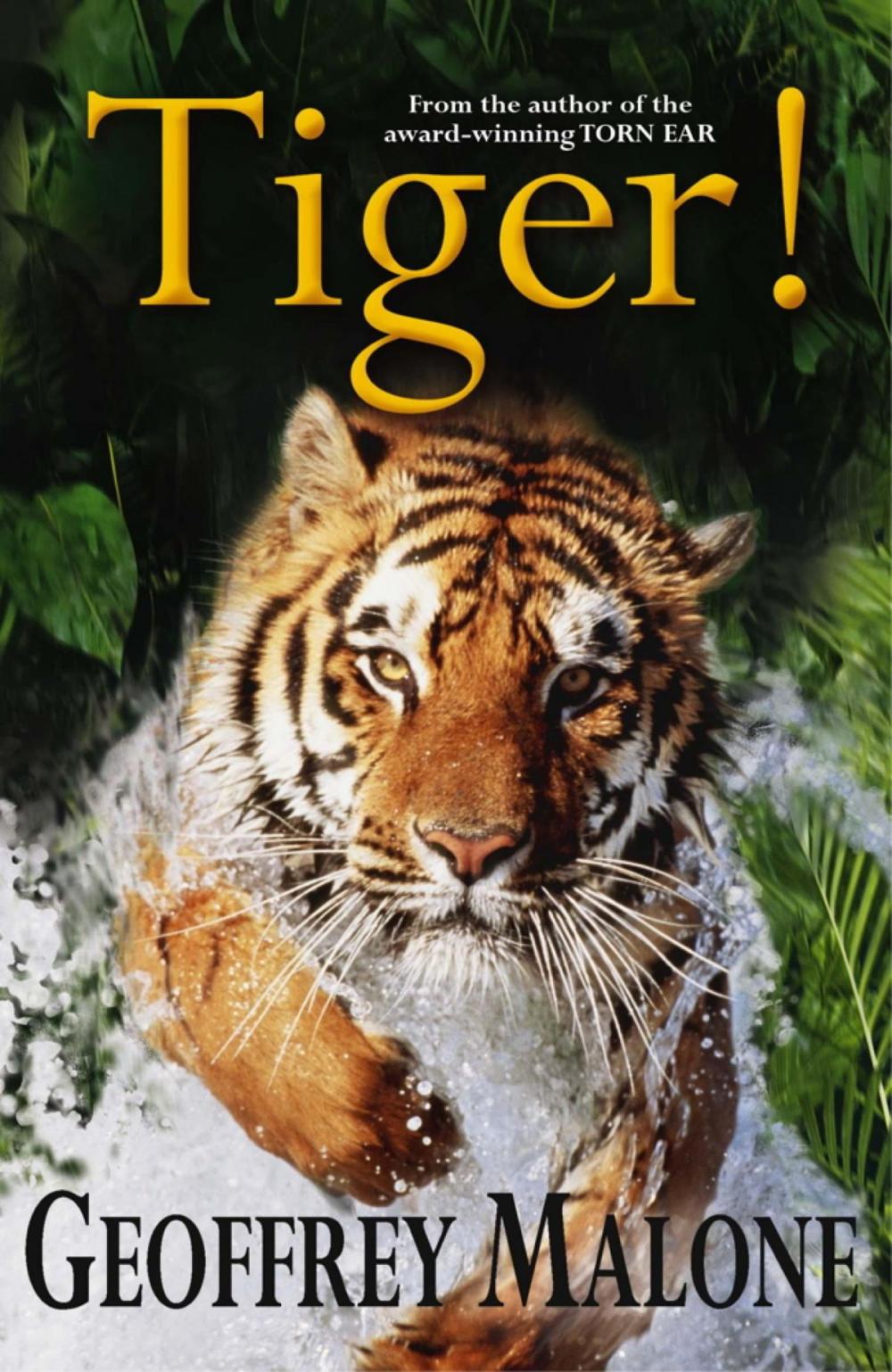 Big bigCover of Stories from the Wild 8: Tiger