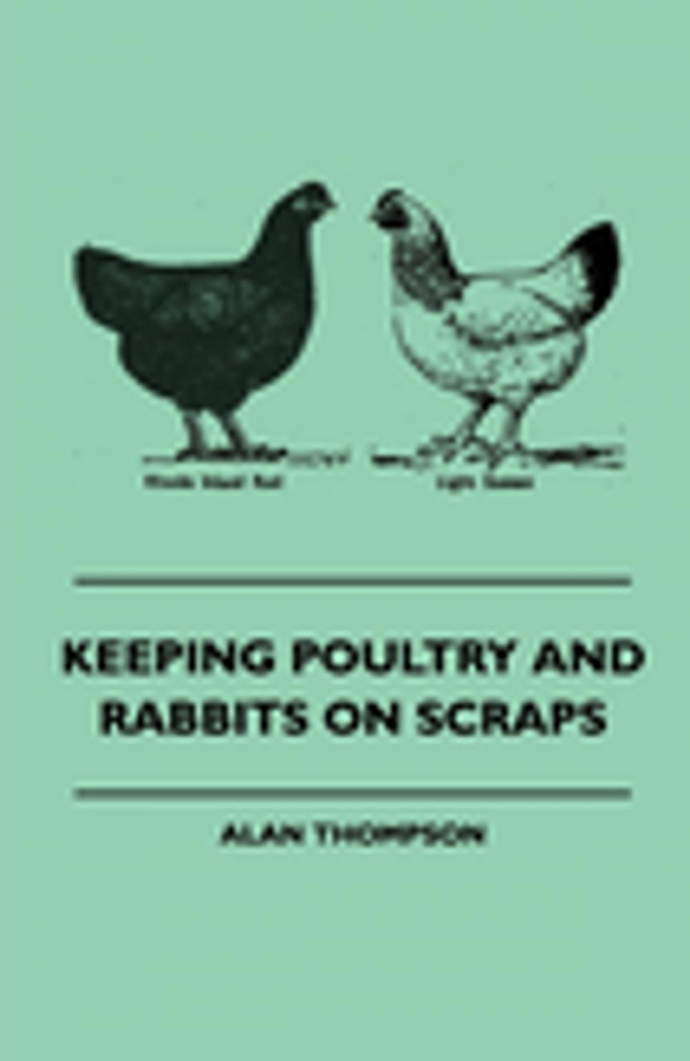 Big bigCover of Keeping Poultry and Rabbits on Scraps