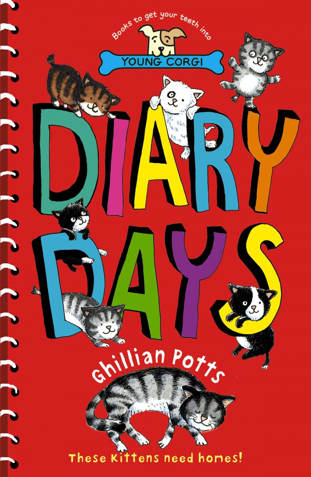 Big bigCover of Diary Days