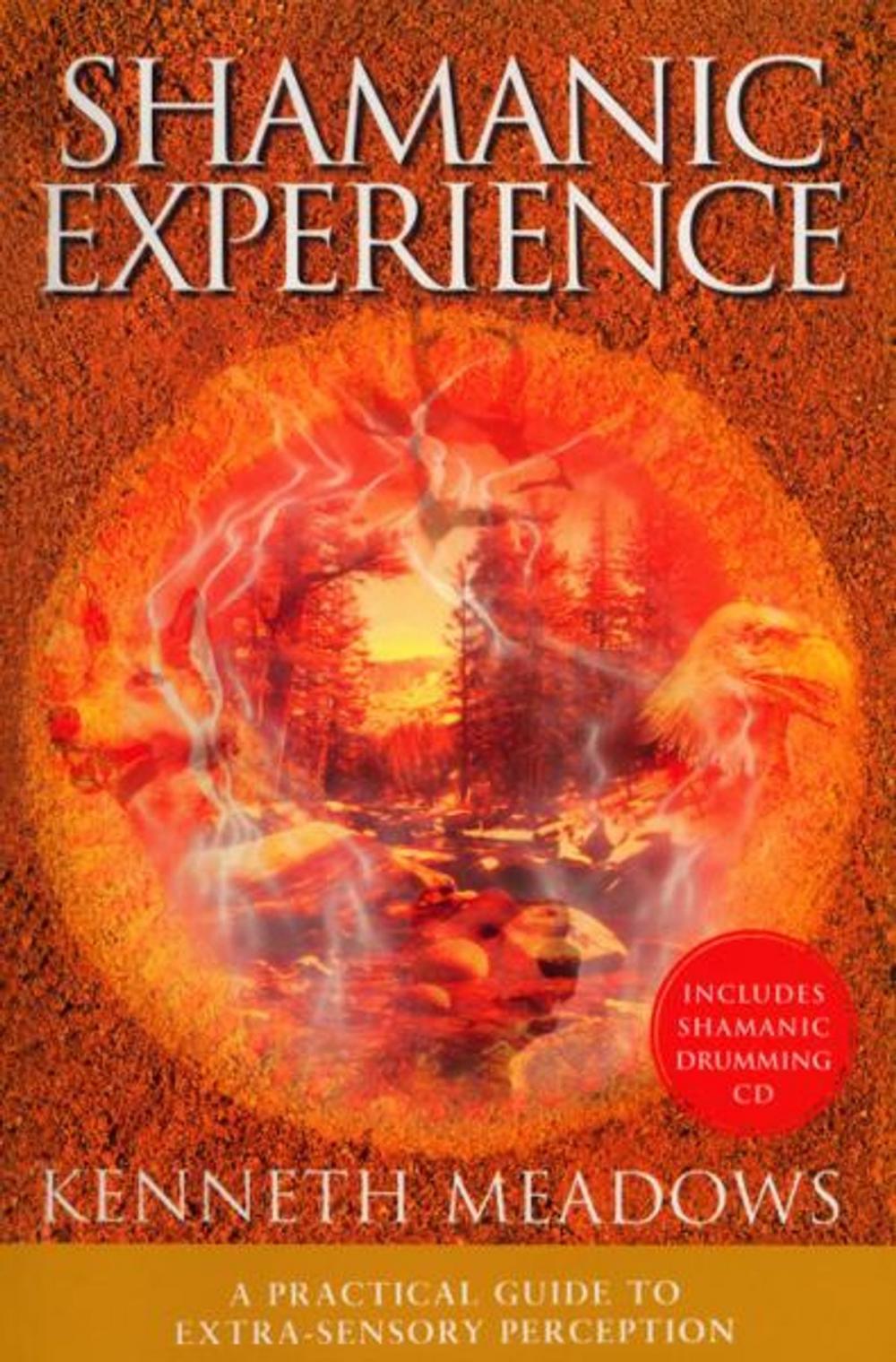 Big bigCover of Shamanic Experience