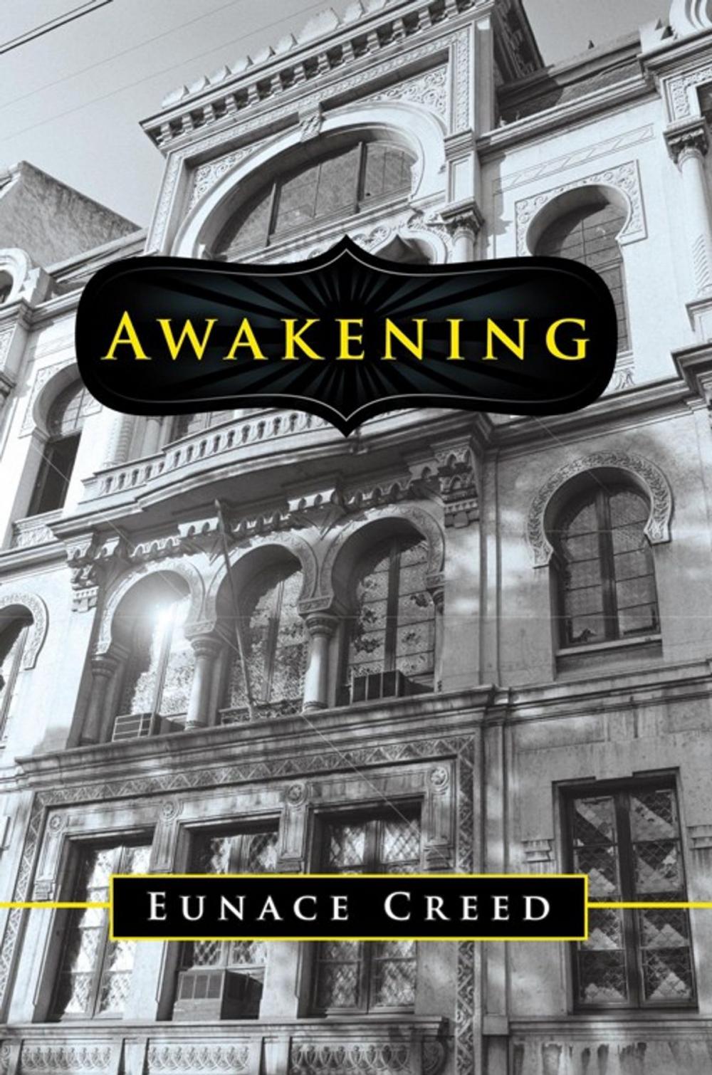 Big bigCover of Awakening