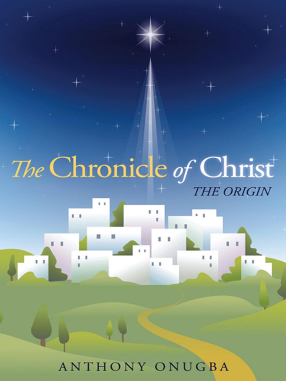 Big bigCover of The Chronicle of Christ