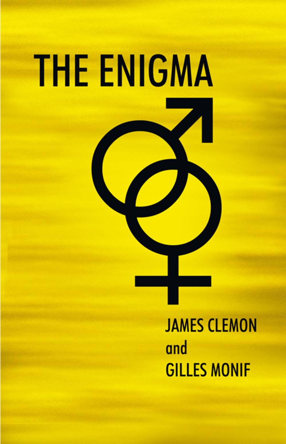 Big bigCover of The Enigma