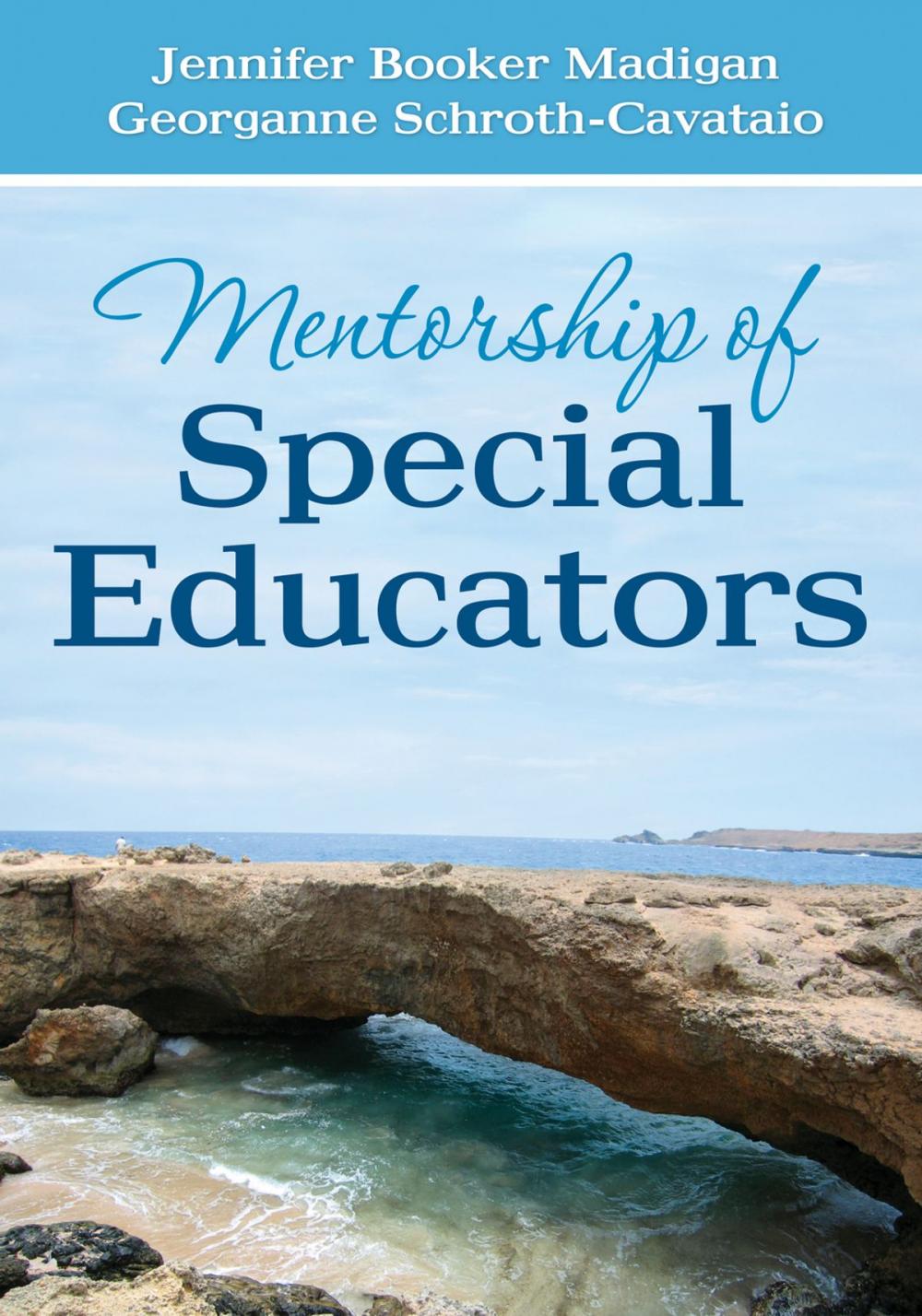 Big bigCover of Mentorship of Special Educators