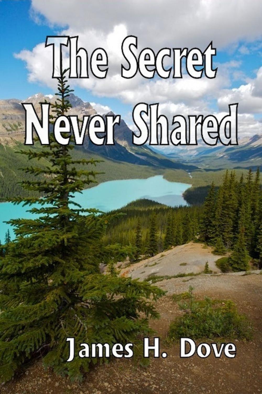 Big bigCover of The Secret Never Shared