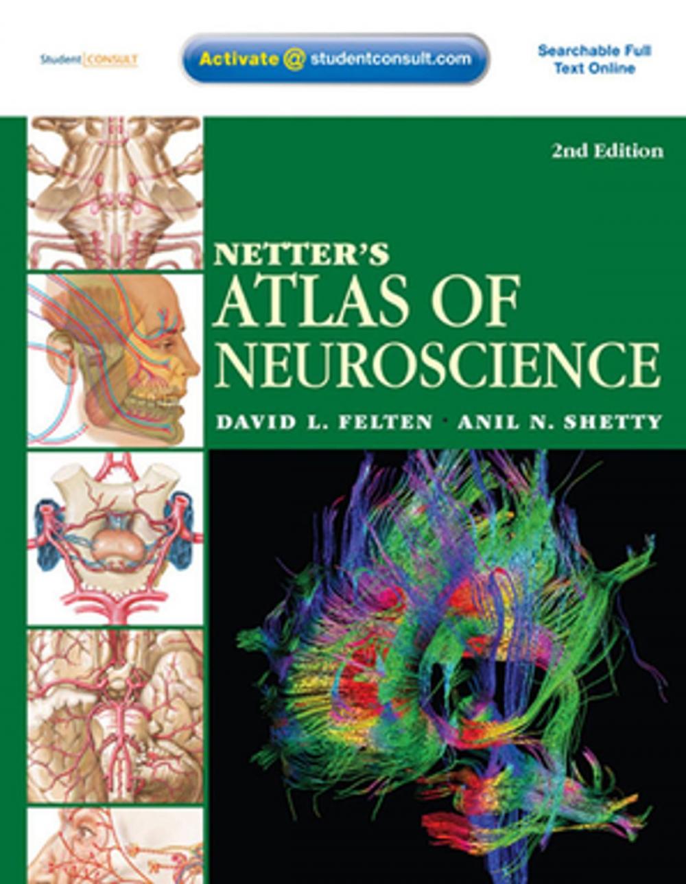 Big bigCover of Netter's Atlas of Neuroscience E-Book