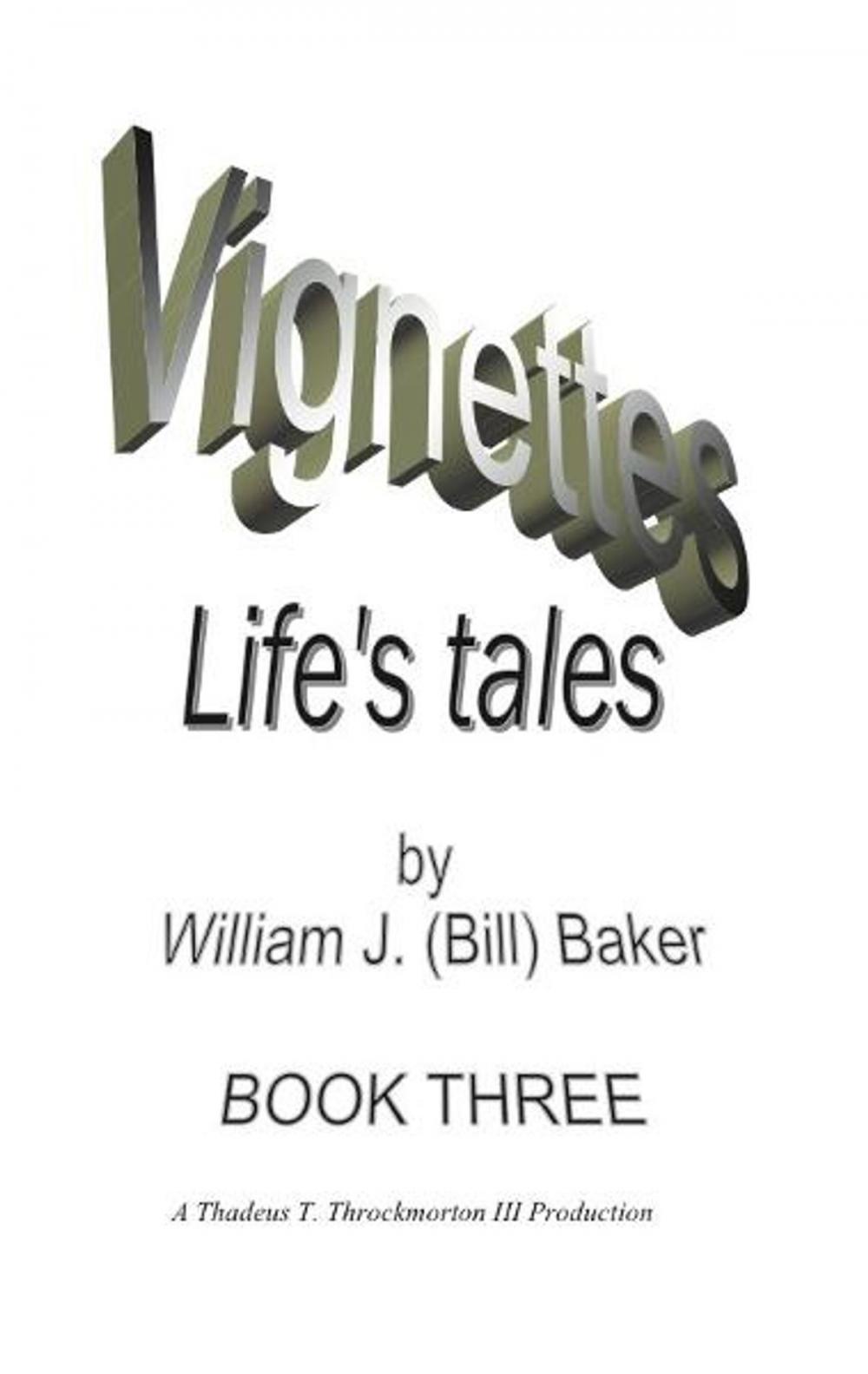 Big bigCover of Vignettes - Life's Tales Book Three