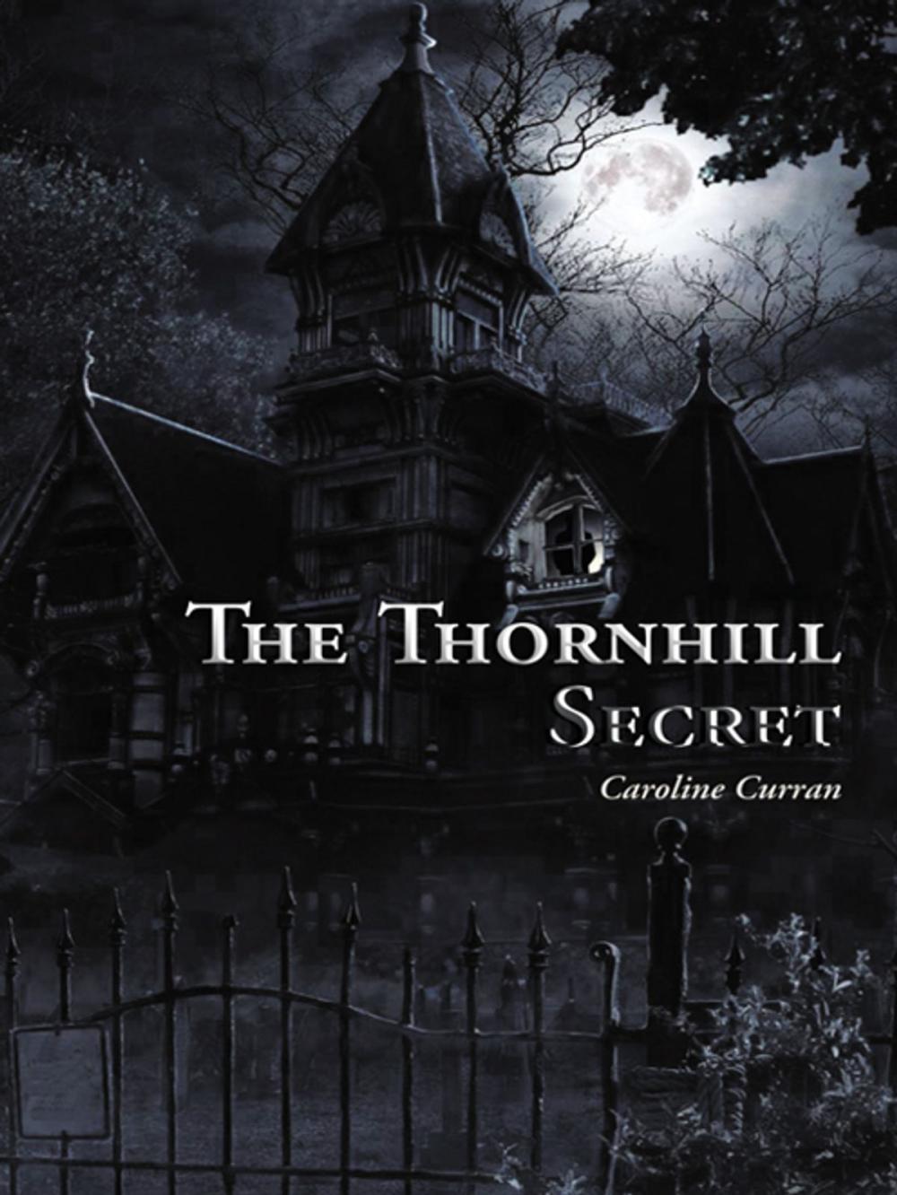 Big bigCover of The Thornhill Secret