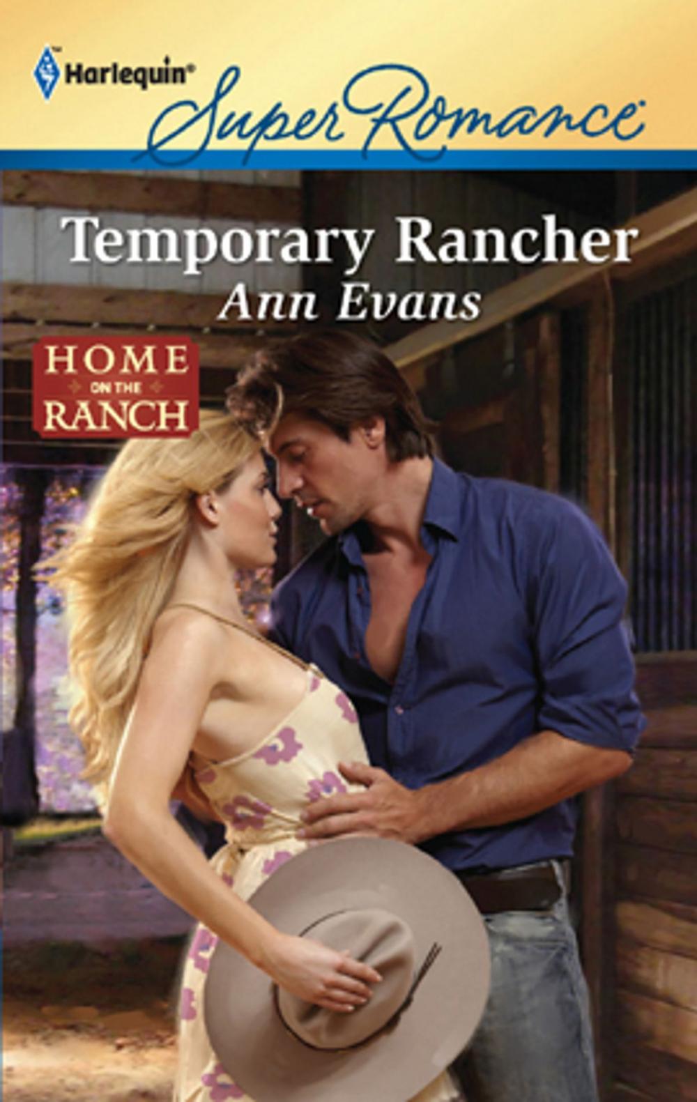 Big bigCover of Temporary Rancher