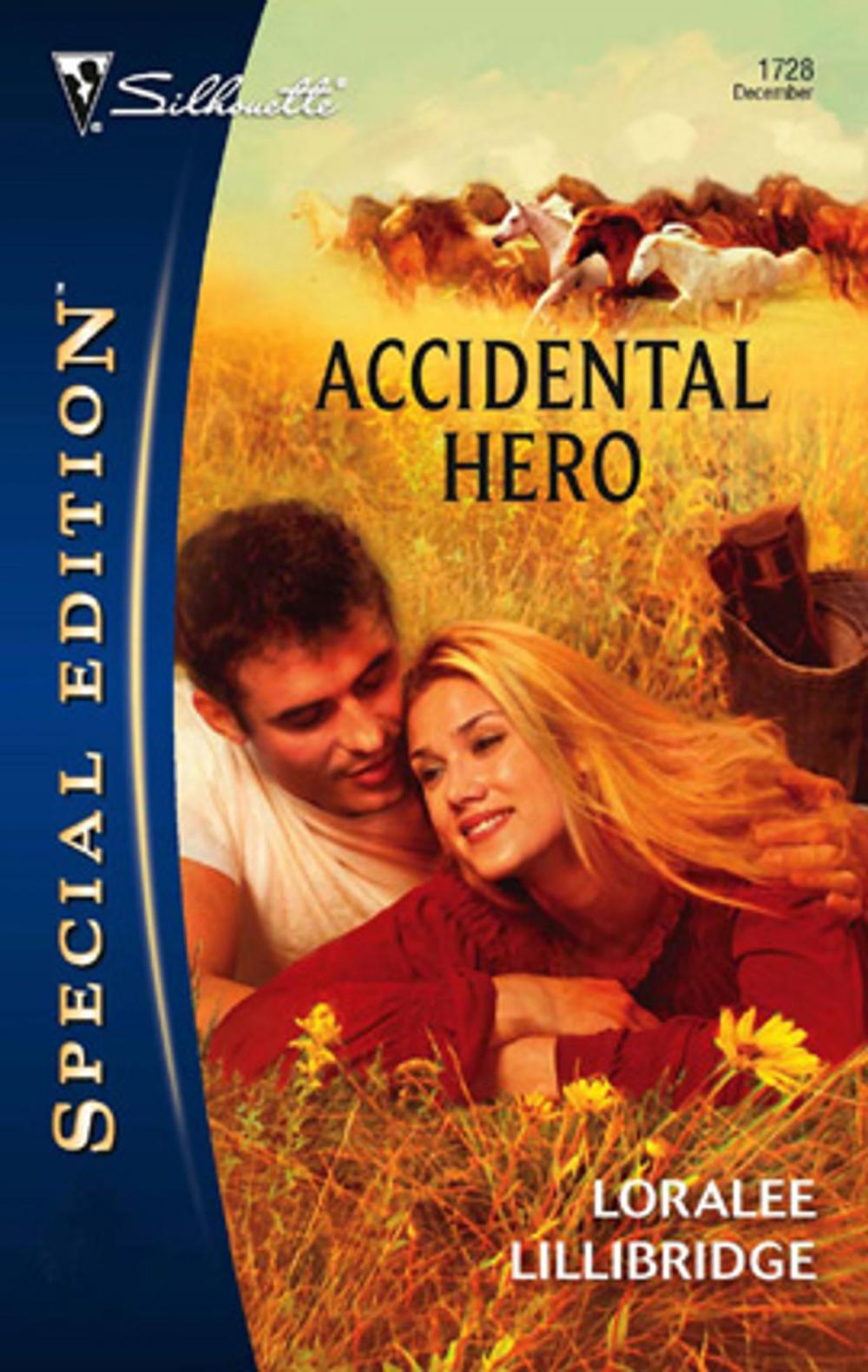 Big bigCover of Accidental Hero