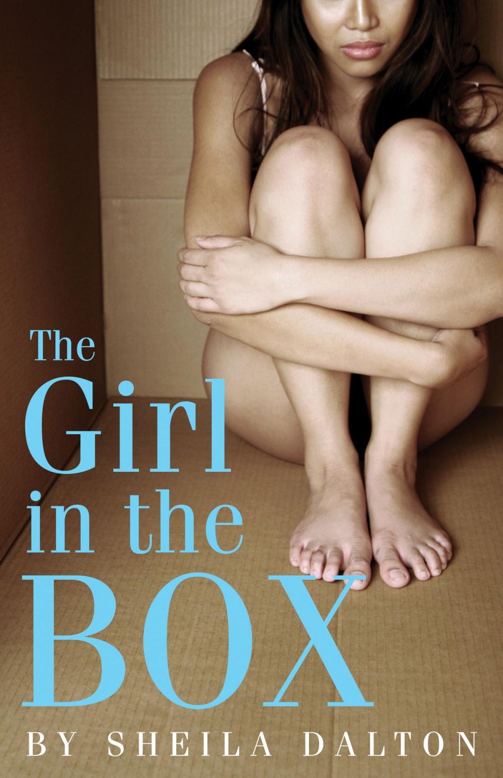 Big bigCover of The Girl in the Box