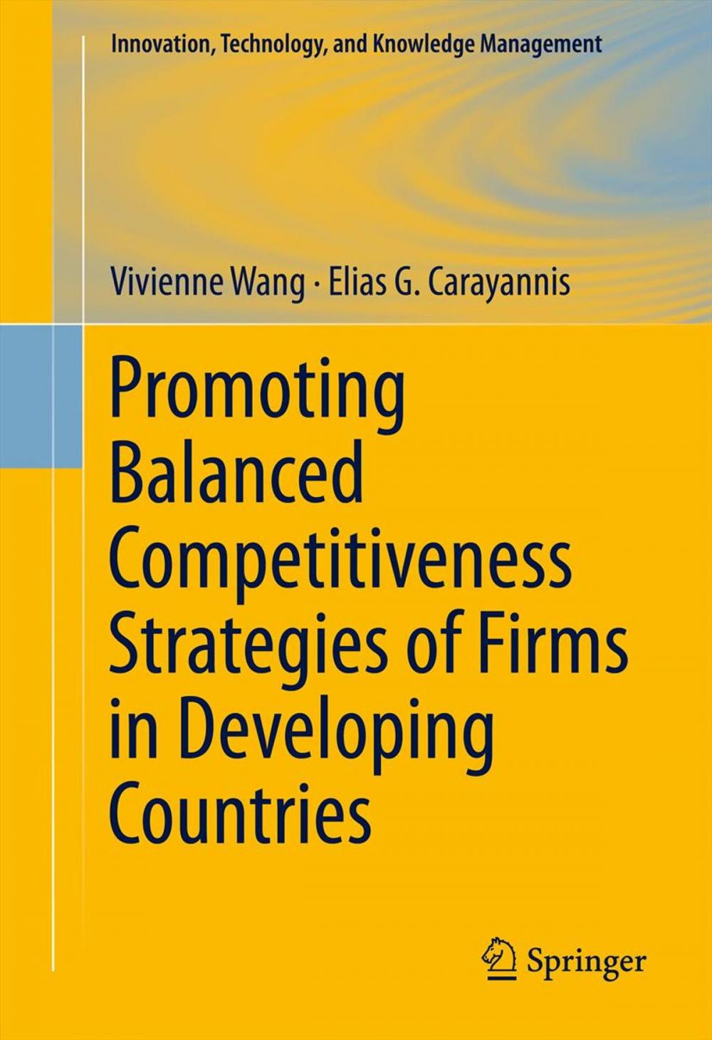 Big bigCover of Promoting Balanced Competitiveness Strategies of Firms in Developing Countries