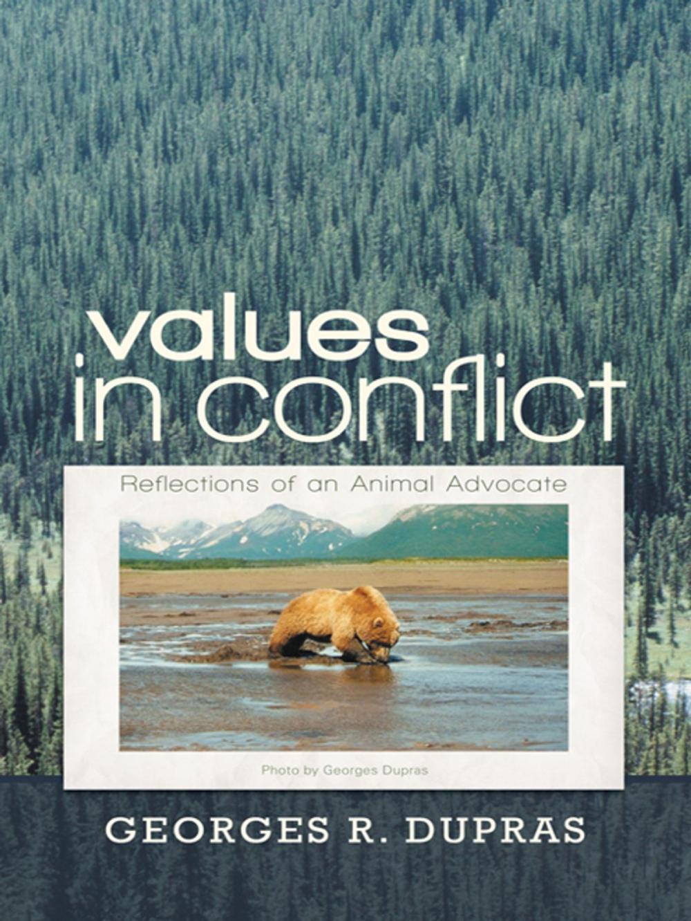 Big bigCover of Values in Conflict