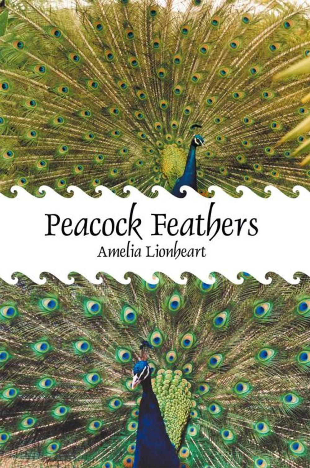 Big bigCover of Peacock Feathers