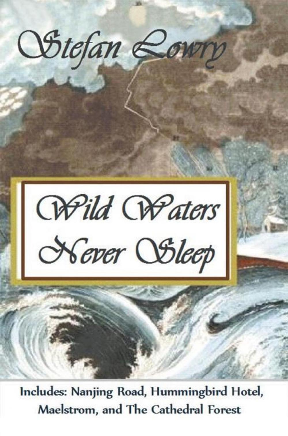 Big bigCover of Wild Waters Never Sleep