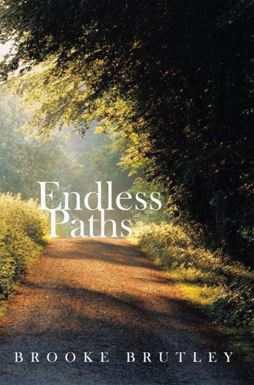 Big bigCover of Endless Paths