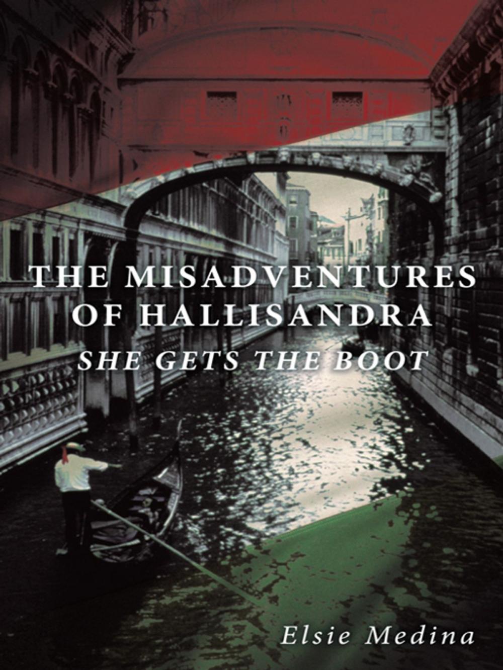 Big bigCover of The Misadventures of Hallisandra