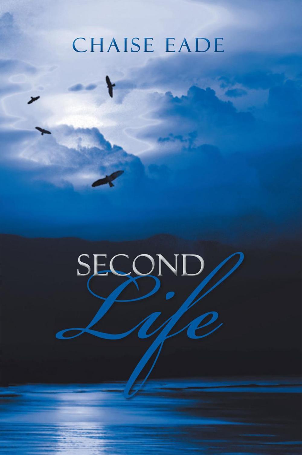 Big bigCover of Second Life