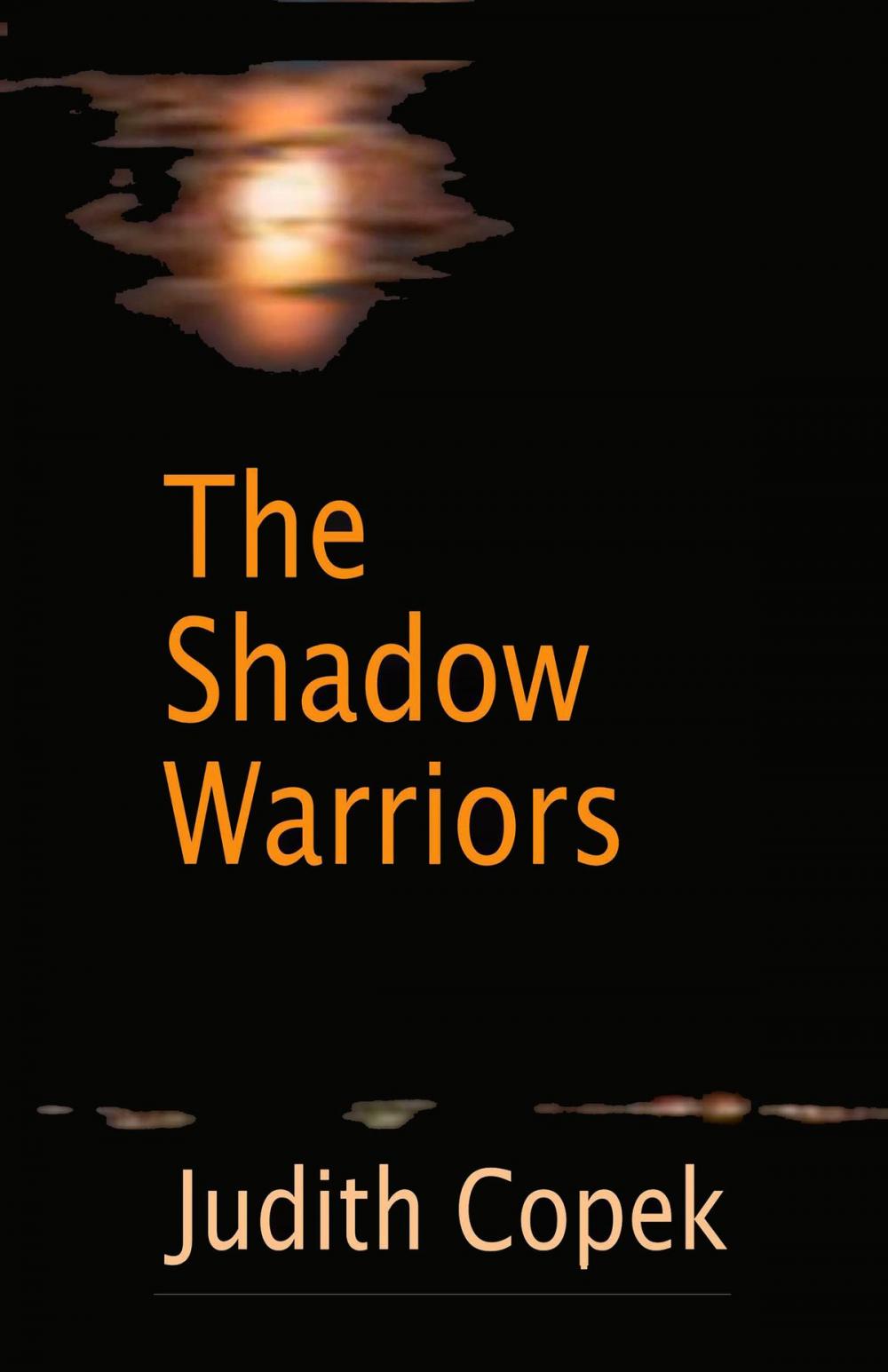 Big bigCover of The Shadow Warriors