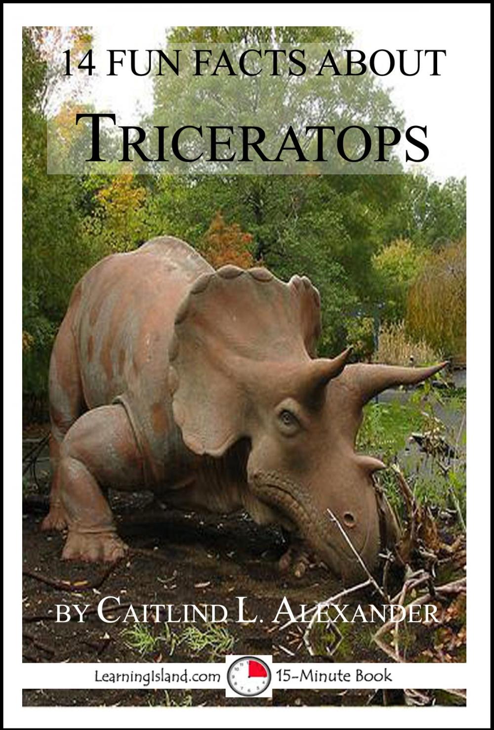 Big bigCover of 14 Fun Facts About Triceratops: A 15-Minute Book